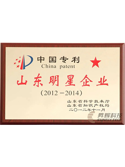 Shandong Star Enterprise